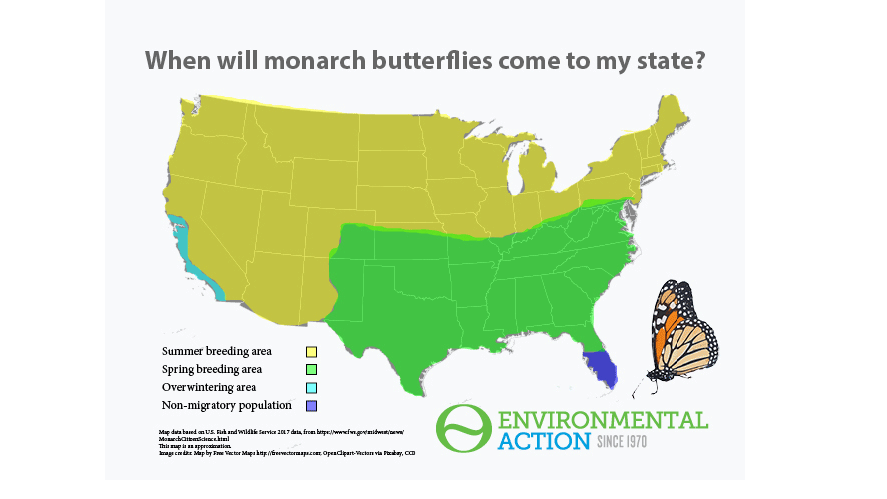 Map: Monarch butterfly distribution, USA